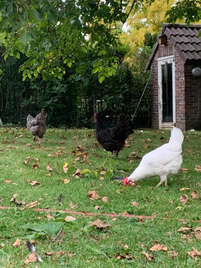 Leuk Vakantiehuisje 6P Brunssum Eksteriør billede
